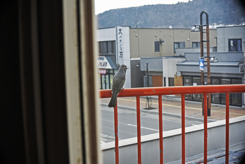 窓越しから　こっそり A