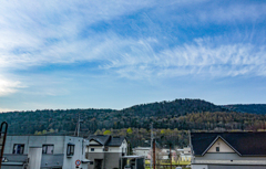 魚に見えますか