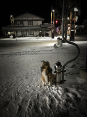 -９度 ヘッチャラさ