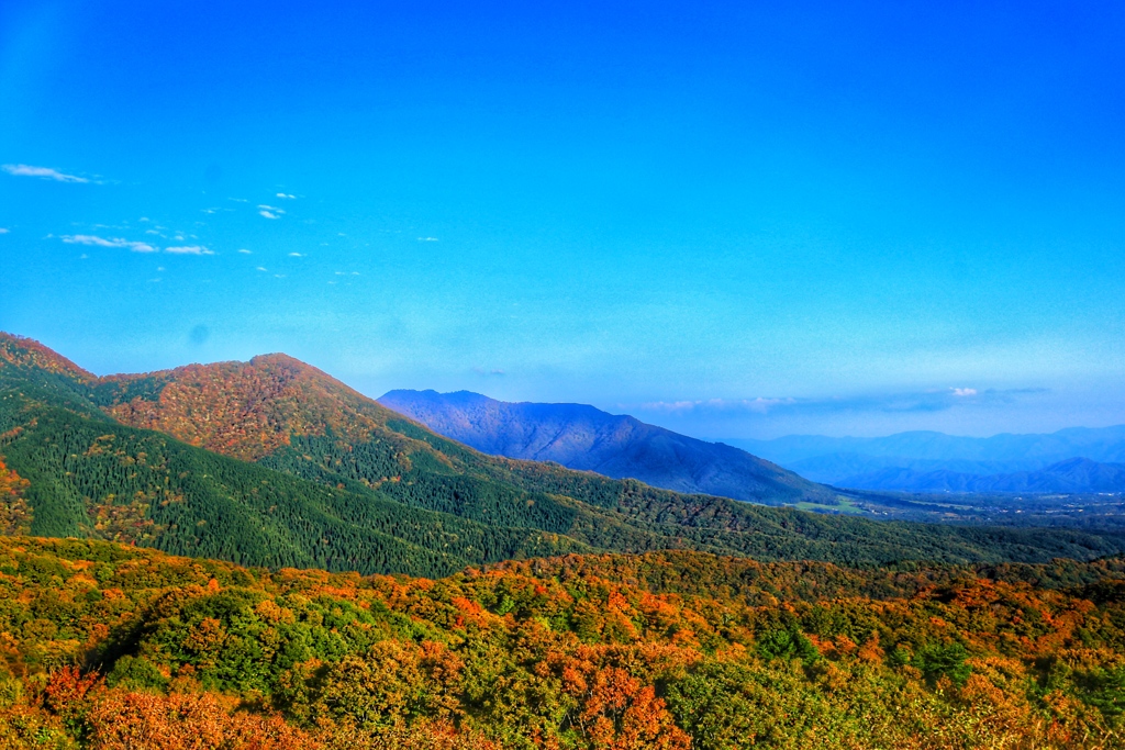 蒜山の紅葉②