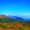 蒜山の紅葉②