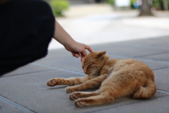 あーそぼ