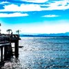 青輝海