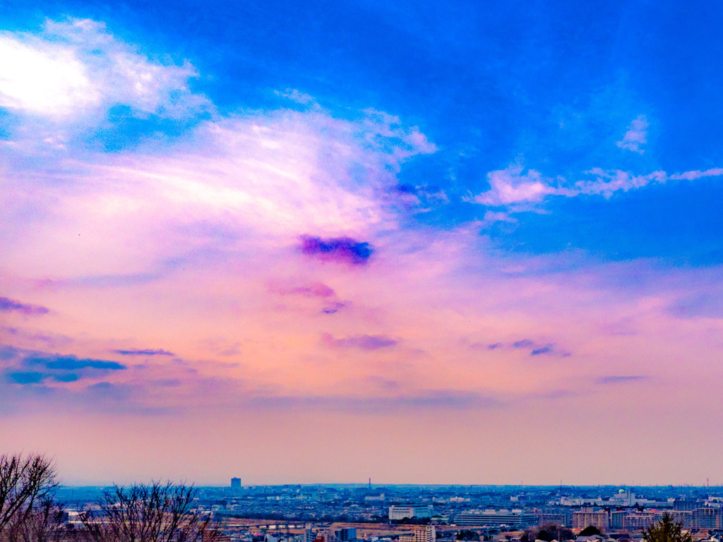 丘からの夕陽