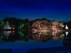 六義園紅葉ナイト