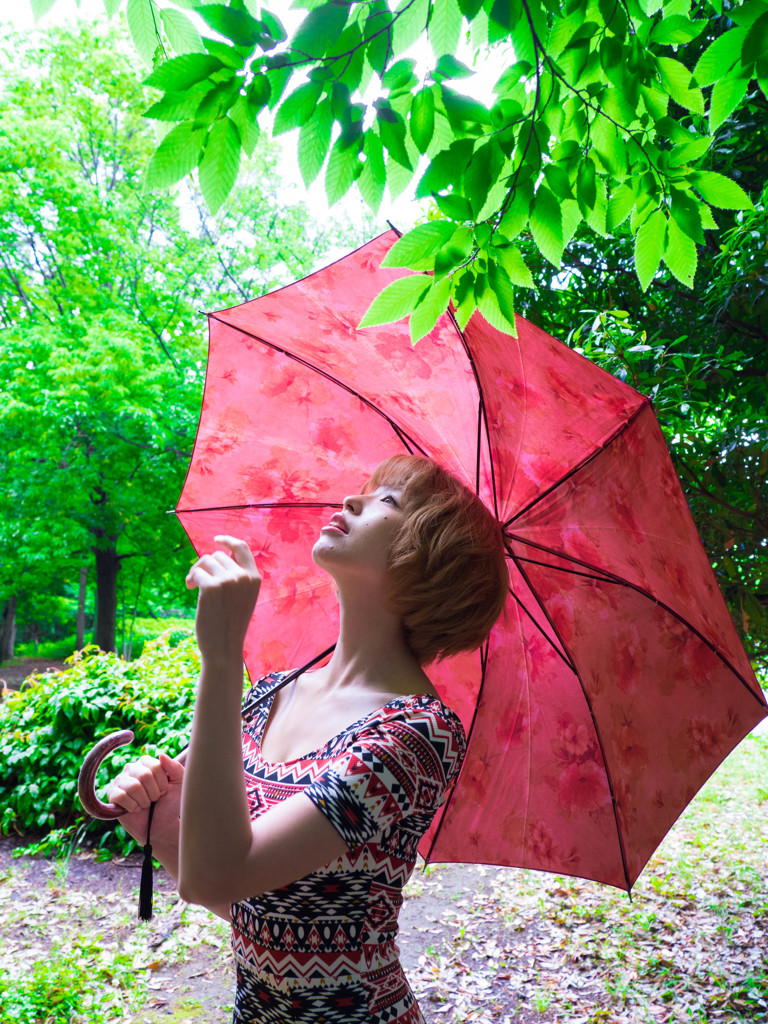 雨上がりの緑の赤