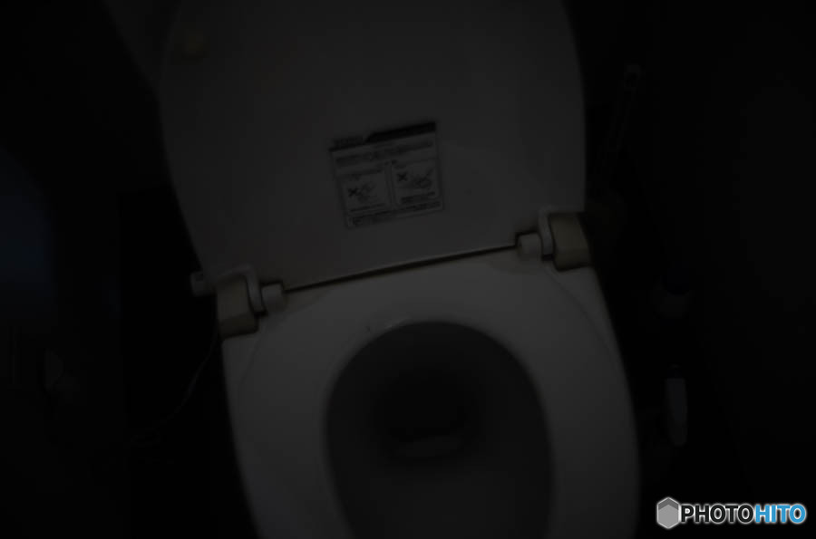 トイレの日