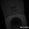 トイレの日