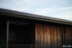 0197-1004011