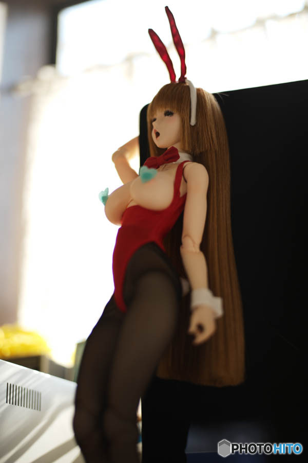 バニーの日