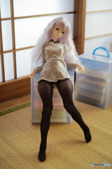 タイツの日