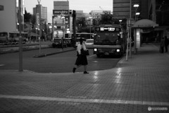 0202-1004115