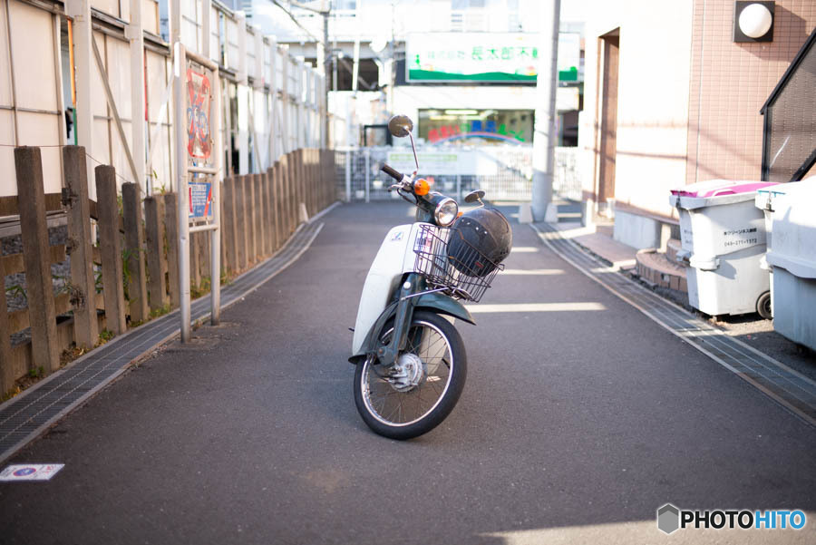 カブ