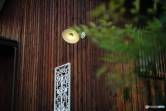 0197-1004016