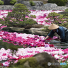 華を浮かべる