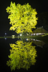 水鏡Ⅰ