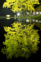 水鏡Ⅱ