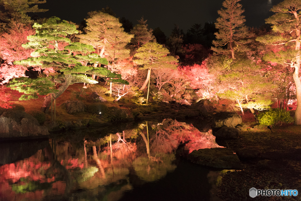 夜紅葉Ⅰ