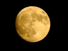 今宵は中秋の名月です。