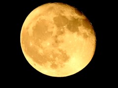 十六夜の月