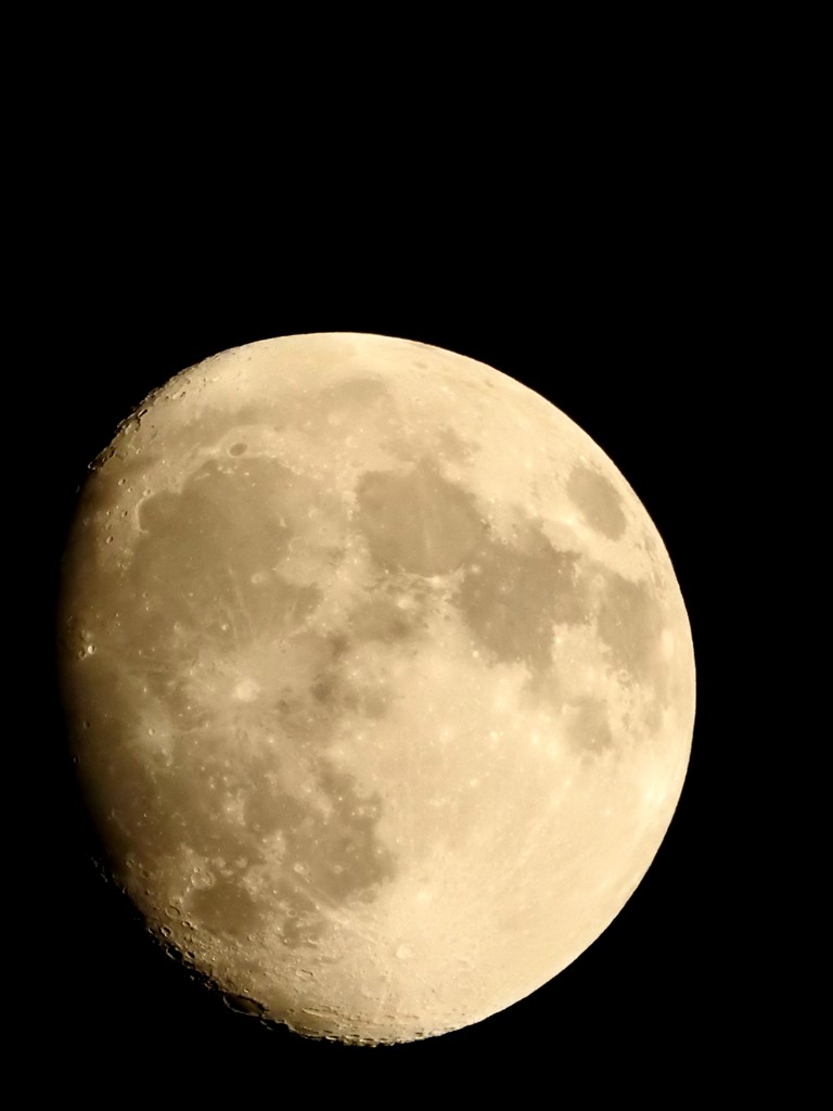 今宵は十三夜の月です。