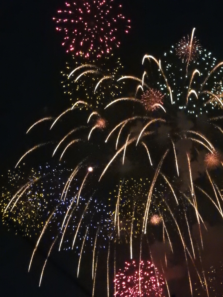 今夜は１ヶ月遅れの花火大会でした。