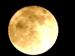 まんま～～る月夜～♪
