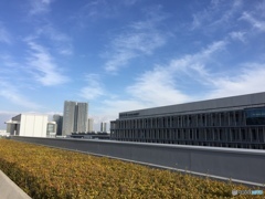 豊洲市場 屋上緑化公園