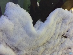 雪紐
