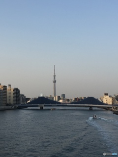 スカイツリー眺望