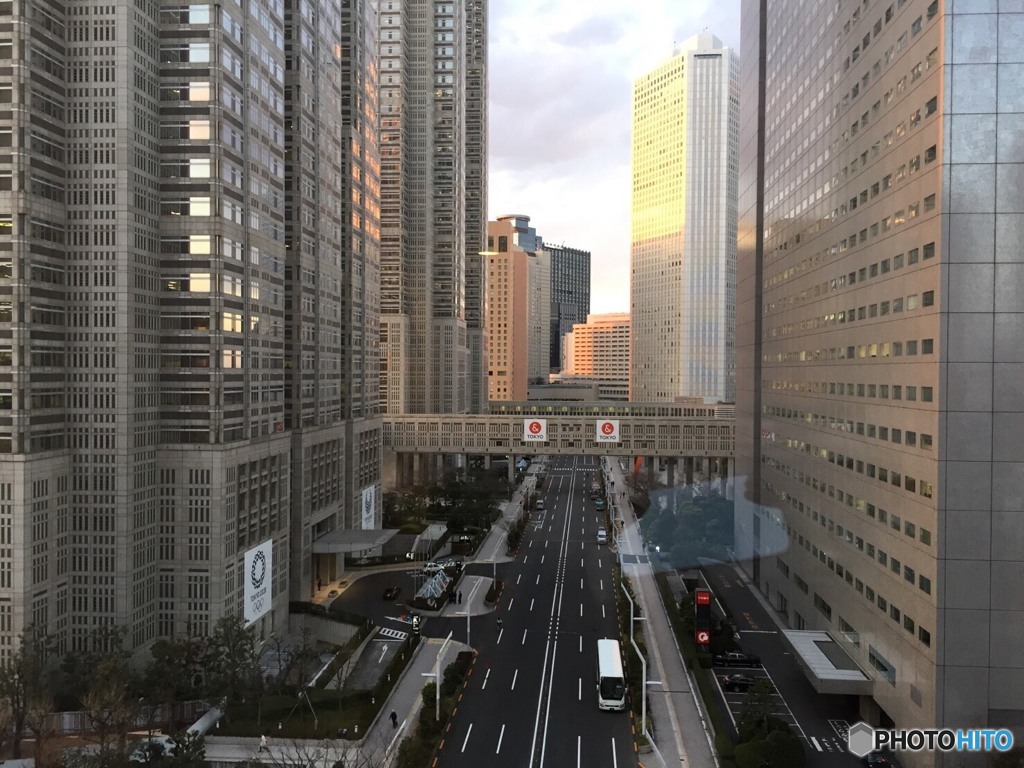 A beauty of the capital,Tokyo