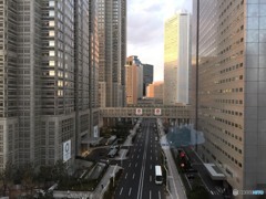 A beauty of the capital,Tokyo