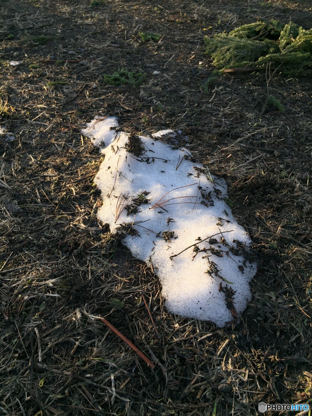 最後の雪