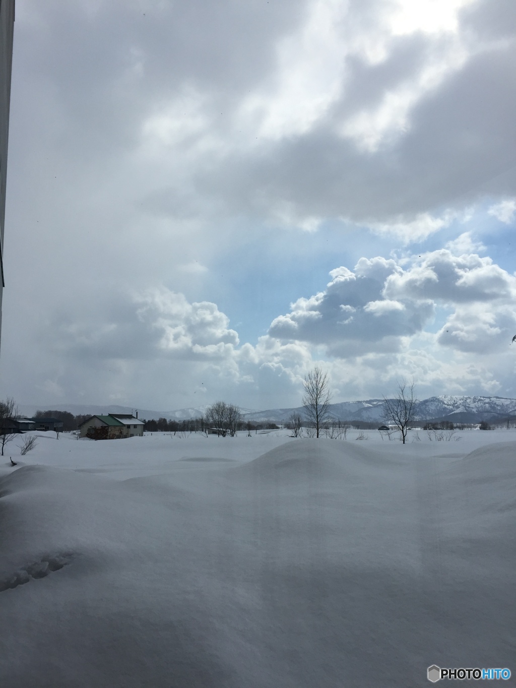 雪原