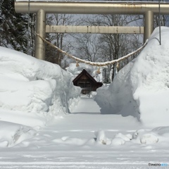 春を待つ神社