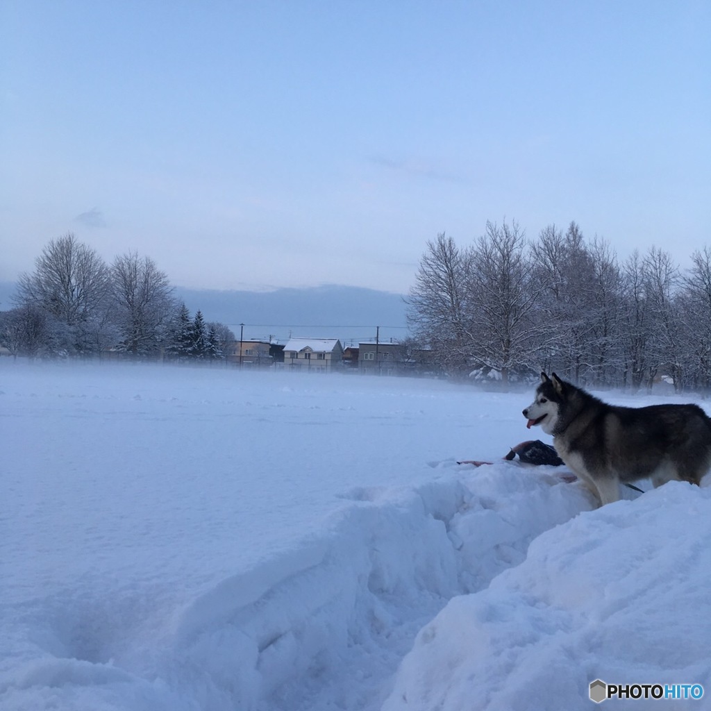 新雪をひとっ走り！