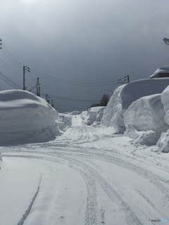 特別豪雪地帯  雪雲 versus 太陽