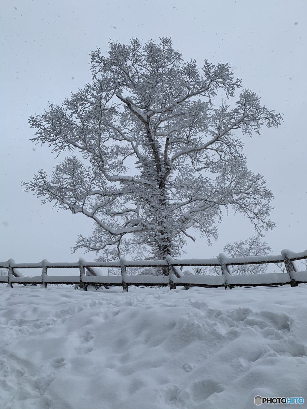 吹雪のあと