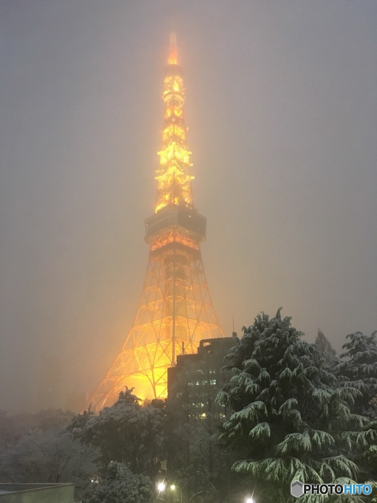 雪の東京タワー