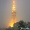 雪の東京タワー