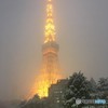 雪の東京タワー