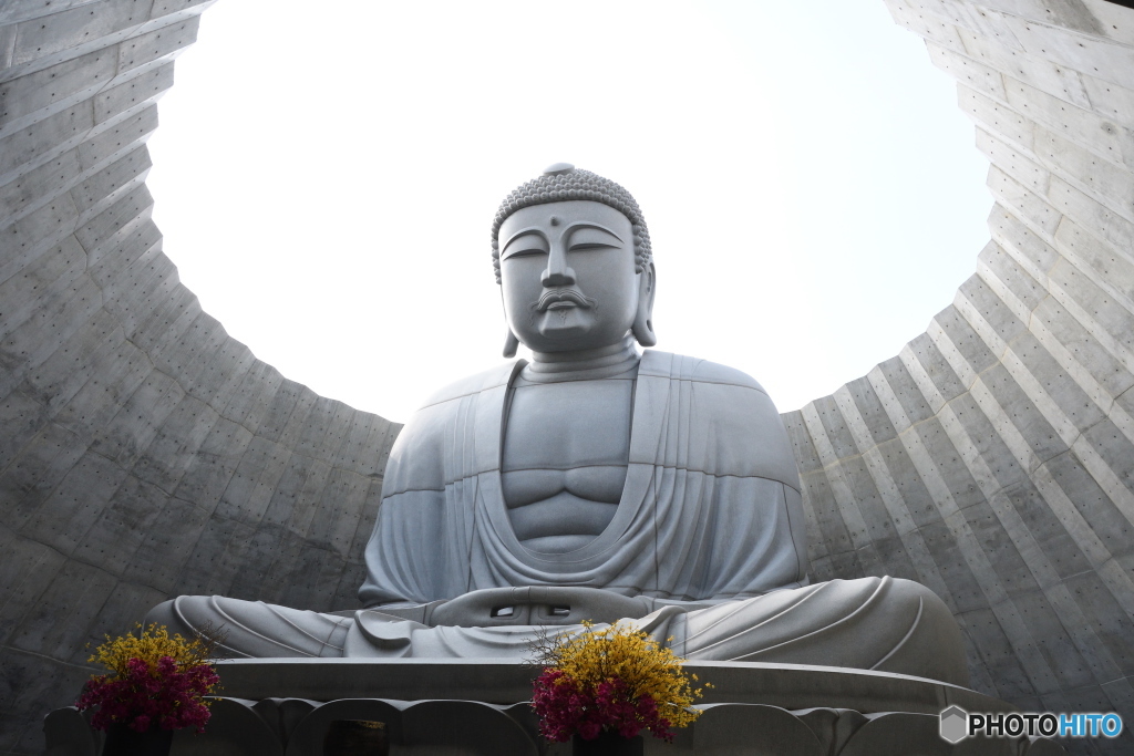 頭大仏殿（Hill of the Buddha）