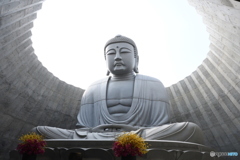 頭大仏殿（Hill of the Buddha）