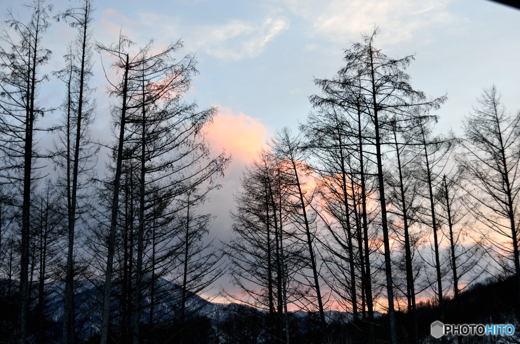 東大雪夕焼け