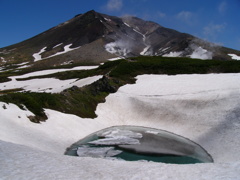 大雪山の春③