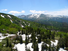 大雪山の春④