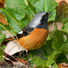 DSC03203