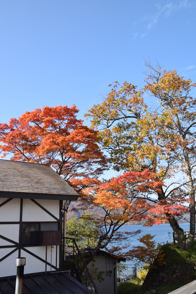 湖畔の紅葉