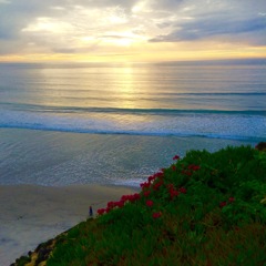 カリフォルニア・サンディエゴの海
