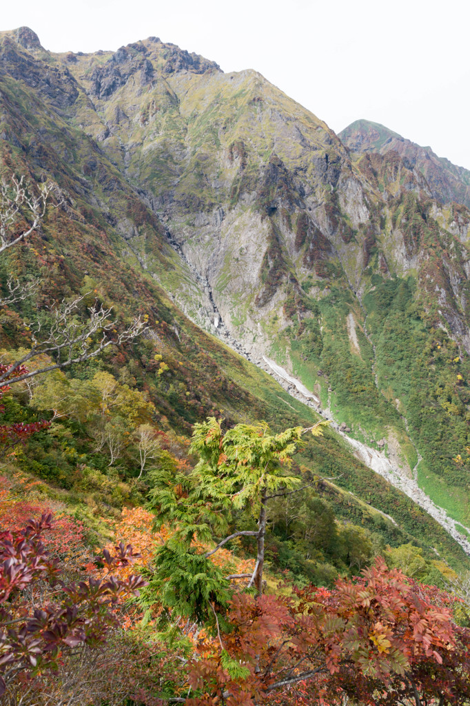 谷川岳西黒尾根